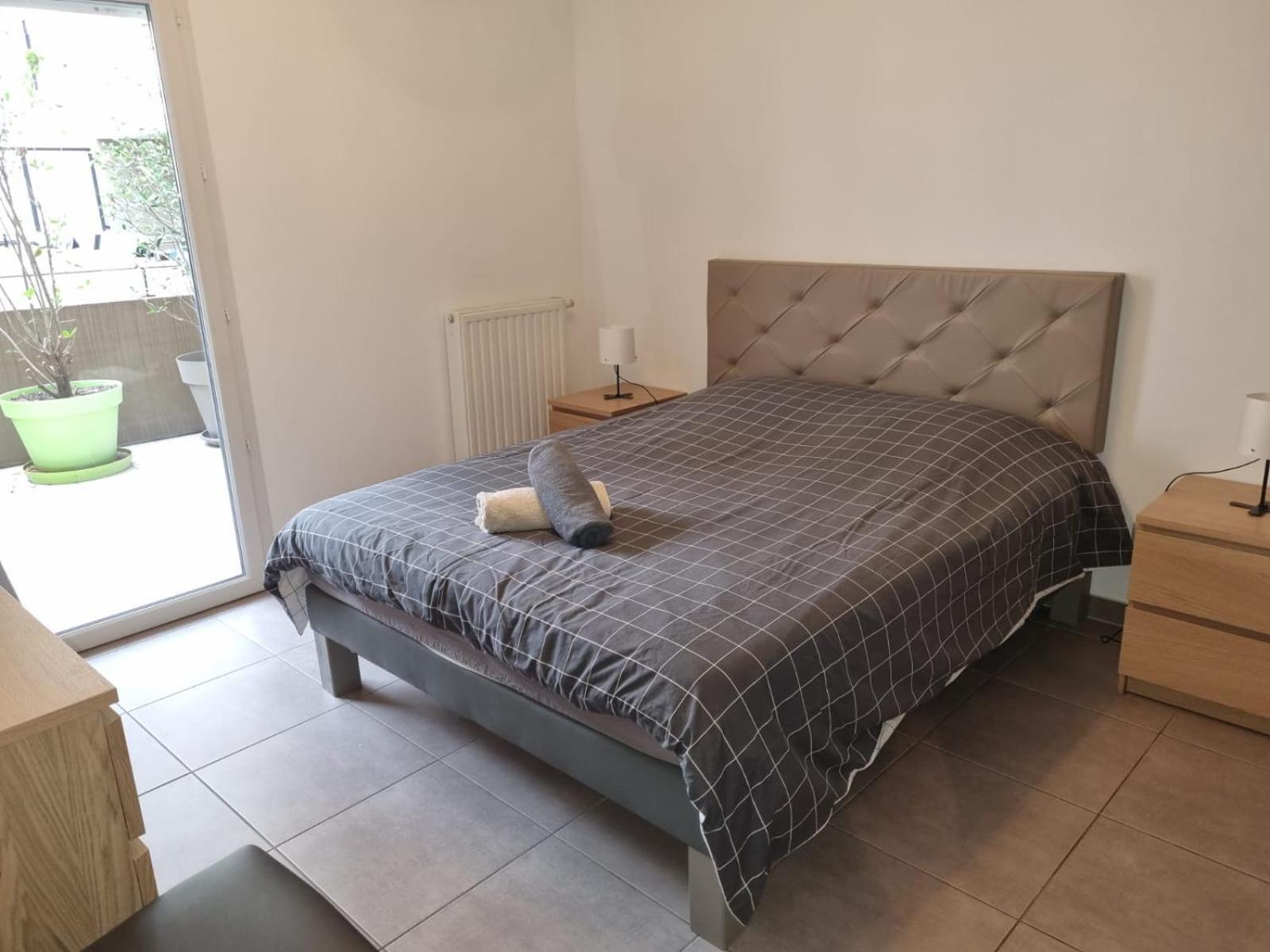 Grand Appartement Avec Garage Et Terrasse Castelnau-le-Lez Εξωτερικό φωτογραφία
